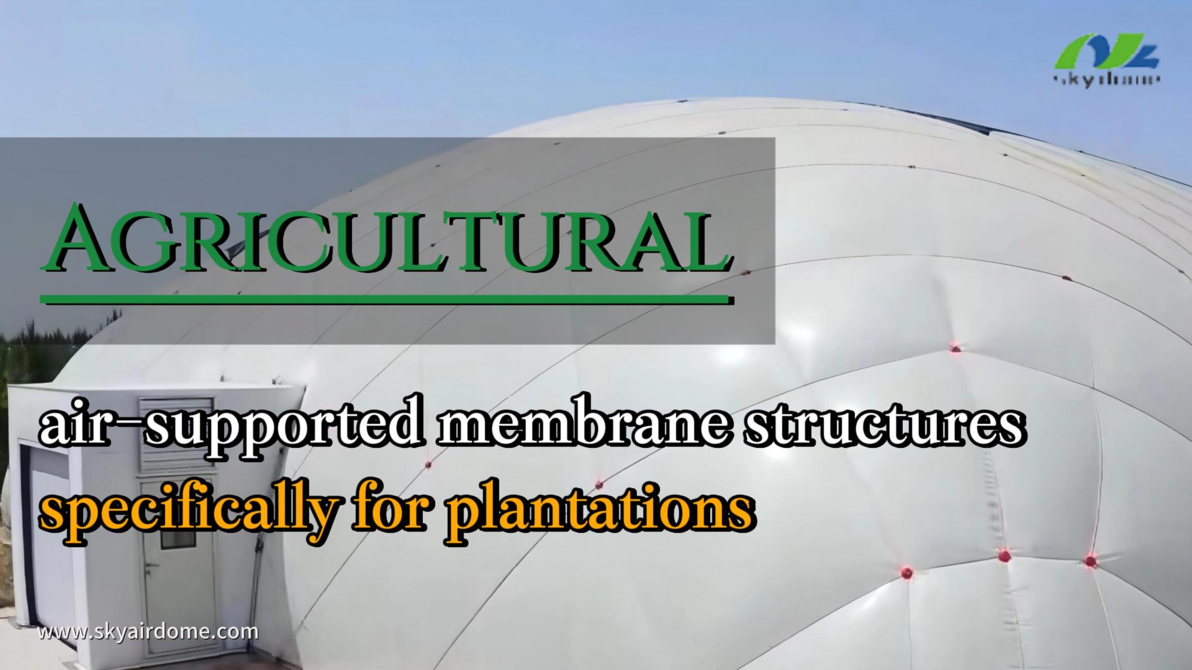 Mga istruktura ng lamad na sinusuportahan ng hangin sa agrikultura, partikular para sa mga plantasyon